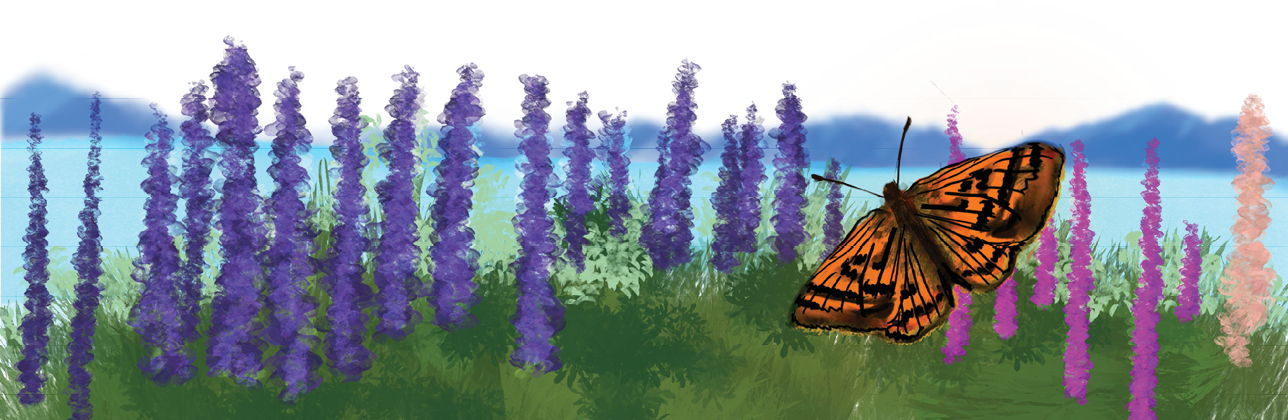 Minister of Health newsletter footer